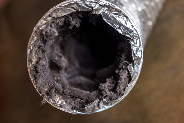 Best Local Air Duct Cleaning Services  in Stewartstown, PA